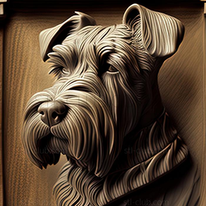 st Zwergschnauzer dog